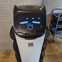  at Spirit of Punjab in Halls Gap