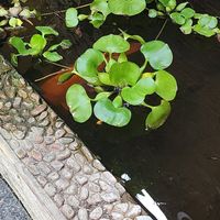  at Quan Am in Ho Chi Minh City