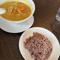 Yellow curry (the best I’ve had)  at Something Vegan in Toluca Lake