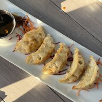 Gyoza dumplings  at Something Vegan in Toluca Lake