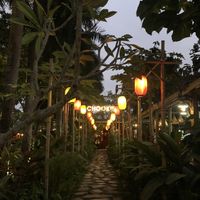   at Chookie's Beer Garden in Ninh Binh