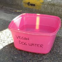 For your doggies :-) at Vusion Eatery in Mulgrave