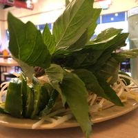Pho toppings  at Pho An & Sushi Bar in Conroe