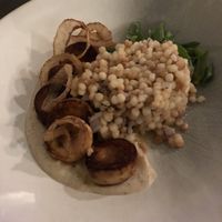 Trumpet  at Leaf in Haddonfield