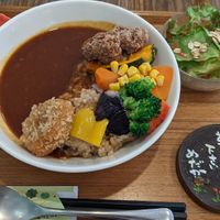 ヴィーガンカレー at Medaka Natural Kitchen  in Osaka