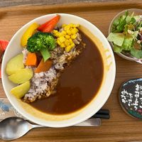 Curry rice and veggies #Veganuary at Medaka Natural Kitchen  in Osaka