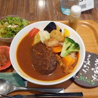 Veggie hamburger curry 🤤 at Medaka Natural Kitchen  in Osaka