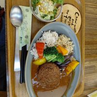 Curry with hamburger at Medaka Natural Kitchen  in Osaka