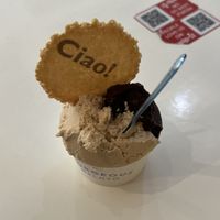 Vegan dark chocolate and hazelnut   at Gorgeous Gelato in Portland