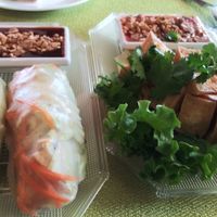 Spring rolls and fried tofu appetizers at Mint Asian Cuisine in Punta Gorda