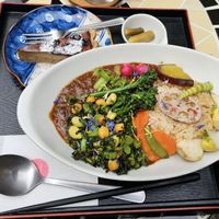 Combi vegan curry and pie at Tomy Muesli in Takayama