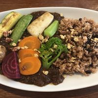 Vegan curry with freshly grown vegetables at Tomy Muesli in Takayama
