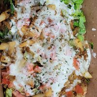 Gyro fries 🤤 at Vegan International Co in Tampa