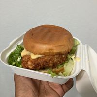  at Vegan International Co in Tampa