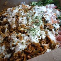 Gyro platter at Vegan International Co in Tampa