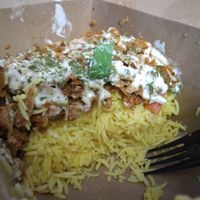 Gyro platter at Vegan International Co in Tampa