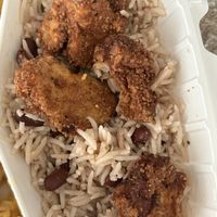  #Veganuary at Vegan International Co in Tampa