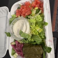   at Vegan International Co in Tampa