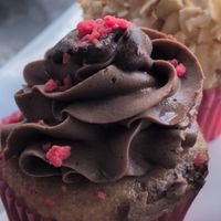 Chocolate berry cupcake at Wild Rabbit Bistro in Ormond Beach