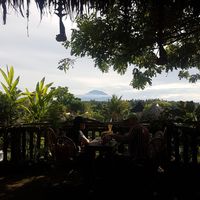 View at Yellow Flower Cafe in Ubud