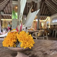   at Yellow Flower Cafe in Ubud