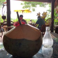 Young coconut  at Yellow Flower Cafe in Ubud