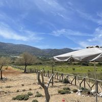 View towards the mountains - Taverna Kalyva, Potamos Beach, Crete, Greece  at Taverna Kalyva in Crete