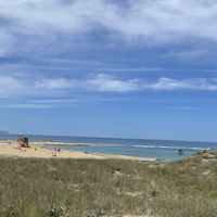 View towards the beach - Taverna Kalyva, Potamos Beach, Crete, Greece  at Taverna Kalyva in Crete