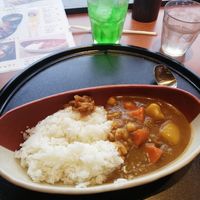 The vegetarian curry at NRT - Miso Kitchen - T1 in Narita