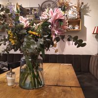 "" at Sanseveria Bagelsalon in Bruges