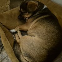  at La Clairiere in Lille