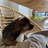   at La Clairiere in Lille