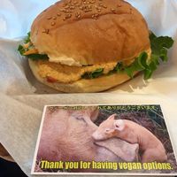  The one and only vegan option at HND - Mrs Istanbul in Tokyo