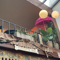   at Mosquito Coast in Ghent