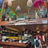  at Mosquito Coast in Ghent