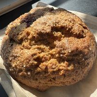 Blackberry scone   at Batter & Crumbs in Philadelphia