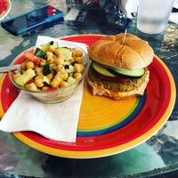 Falafel sandwich with chickpea and cucumber salad  at Way Cup Cafe in Holland