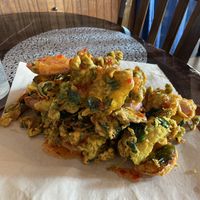 The massive pakora portion  at The Red Dot Kitchen in Wurtsboro