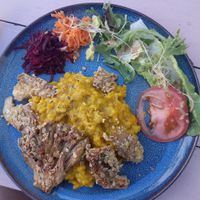 Veganes Kürbisrisotto mit Austernpilzschnitzel at Wildwuchs in Neuruppin