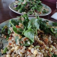  at Old Abe & Co. in Rochester