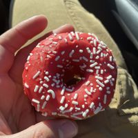   at Old Abe & Co. in Rochester