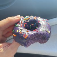   at Old Abe & Co. in Rochester