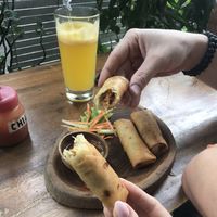 Spring rolls at Vegan Bali in Kuta