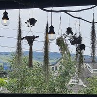  at Cafe Jeju 901 in Jeju