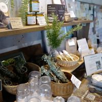   at Cafe Jeju 901 in Jeju