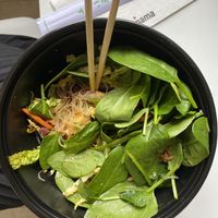 vegan salad with glass noodles, spinach, carrot, beans, tofu  at Wagamama in Bratislava