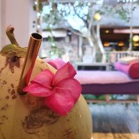 Fresh Coconut at Acai Queen - Gootama in Ubud