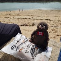 At the beach at Philp's Famous Pasties in Hayle