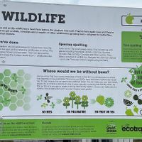   at Forest Green Rovers Football Club - Stadium in Nailsworth