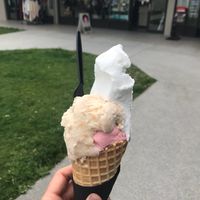 Vegan ice cream at Black Peak Gelato in Wanaka